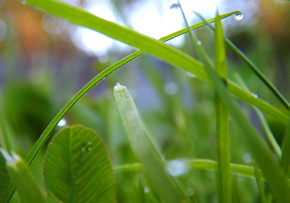 Photograph by Кирилл Елесин