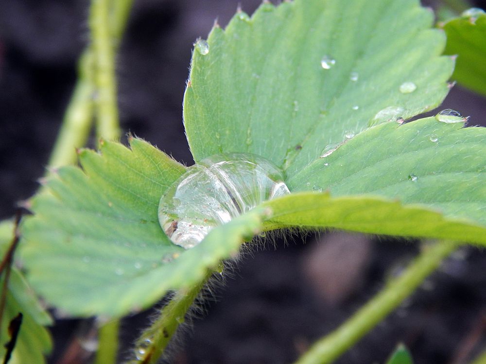 Photograph by Кирилл Елесин