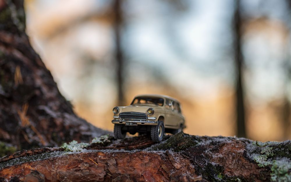 Фотография автора Mika Mgla