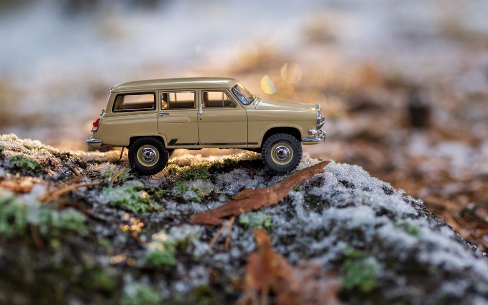 Фотография автора Mika Mgla