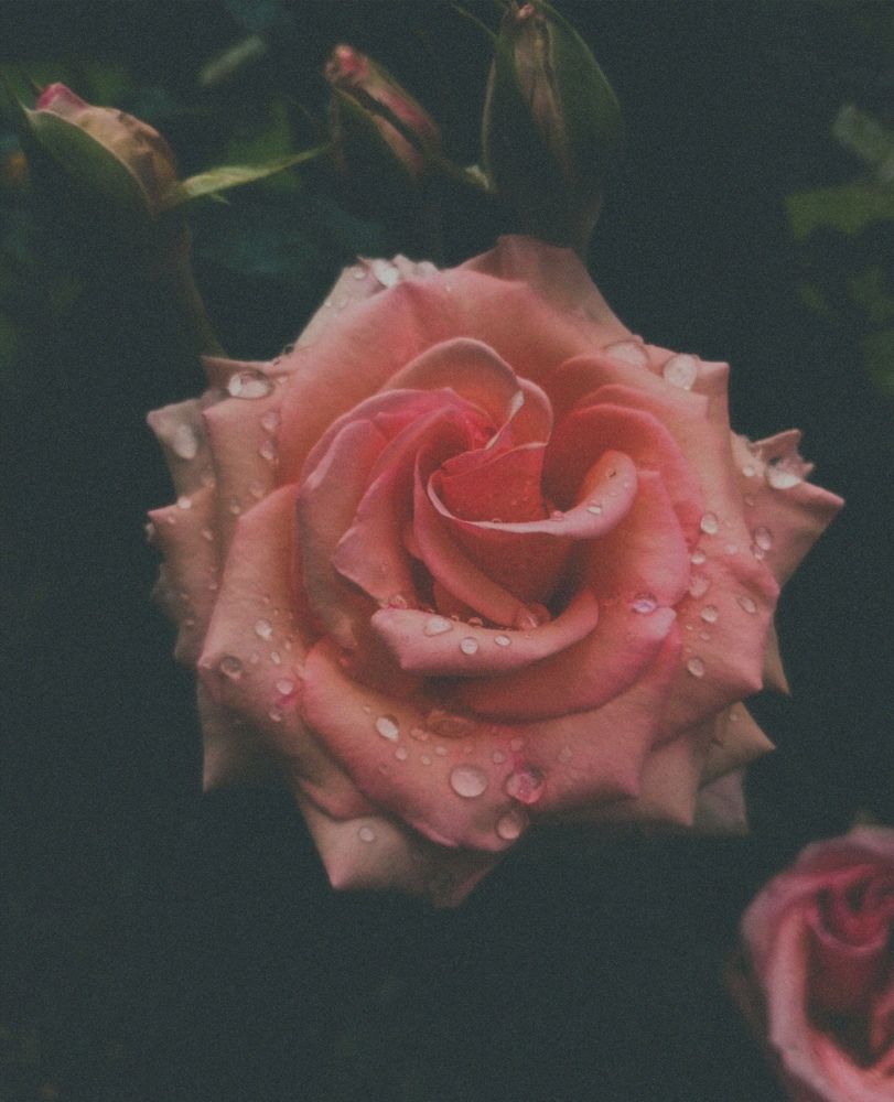 Photograph by Савина Анастасия Николаевна