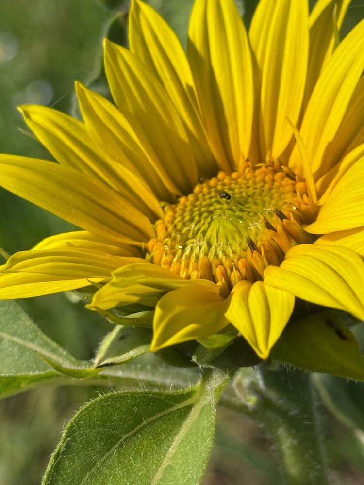 В погоне за летом