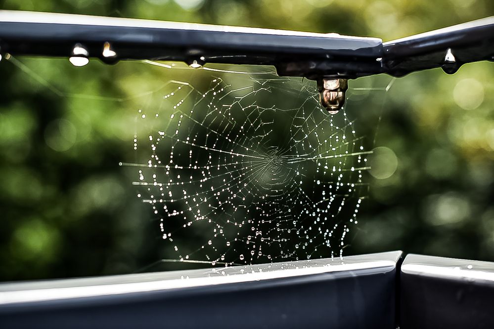 Photograph by Alena Smolianinova