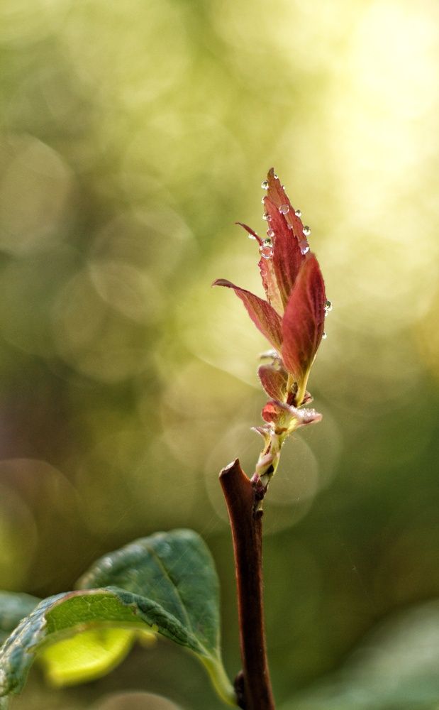 Photograph by Марина Тувышева-Чукавина