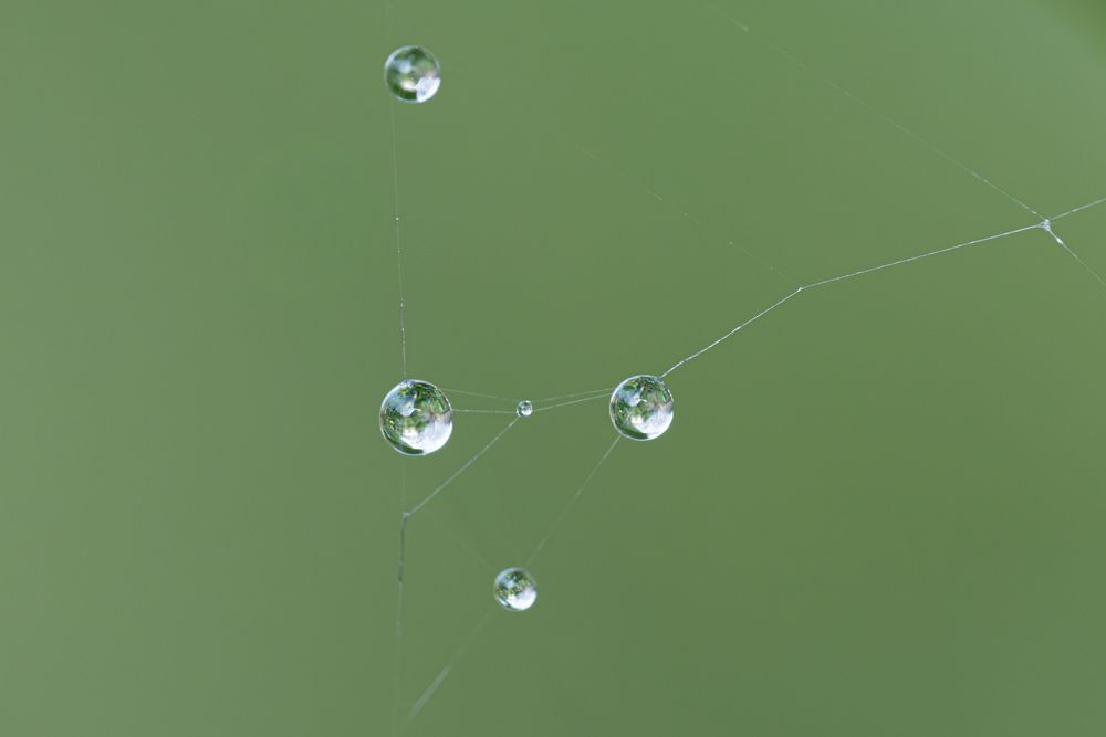 Photograph by Mustafa Sahin