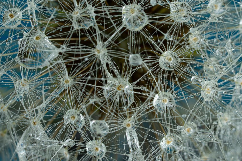 Photograph by Mustafa Sahin