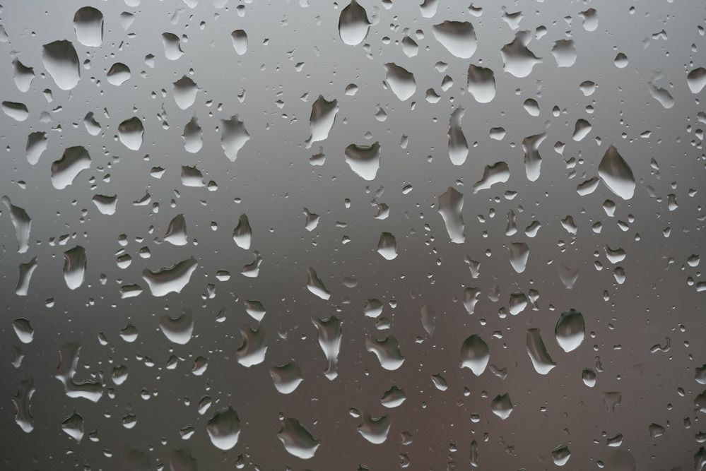 Photograph by Mustafa Sahin