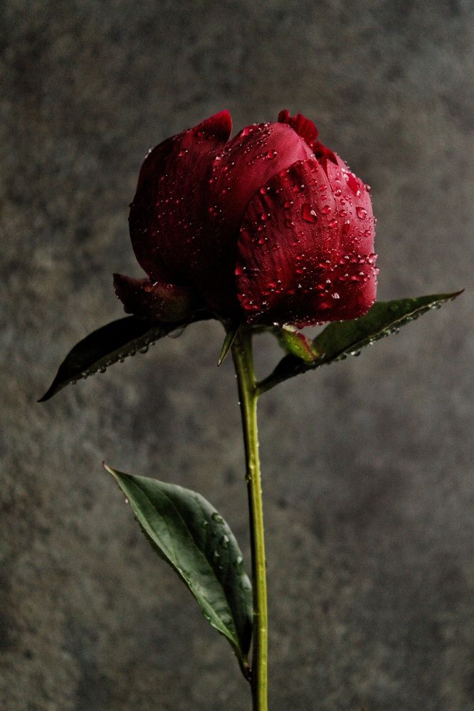 Photograph by Марина Тувышева-Чукавина