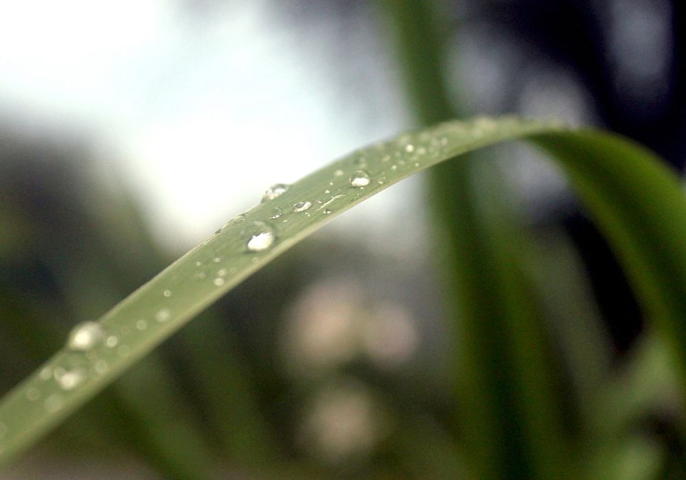 Photograph by Кирилл Елесин