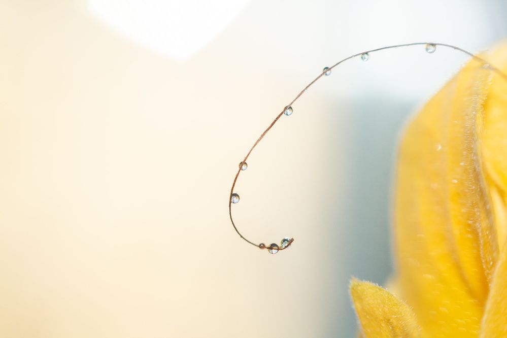 Photograph by Дмитрий Кузнецов