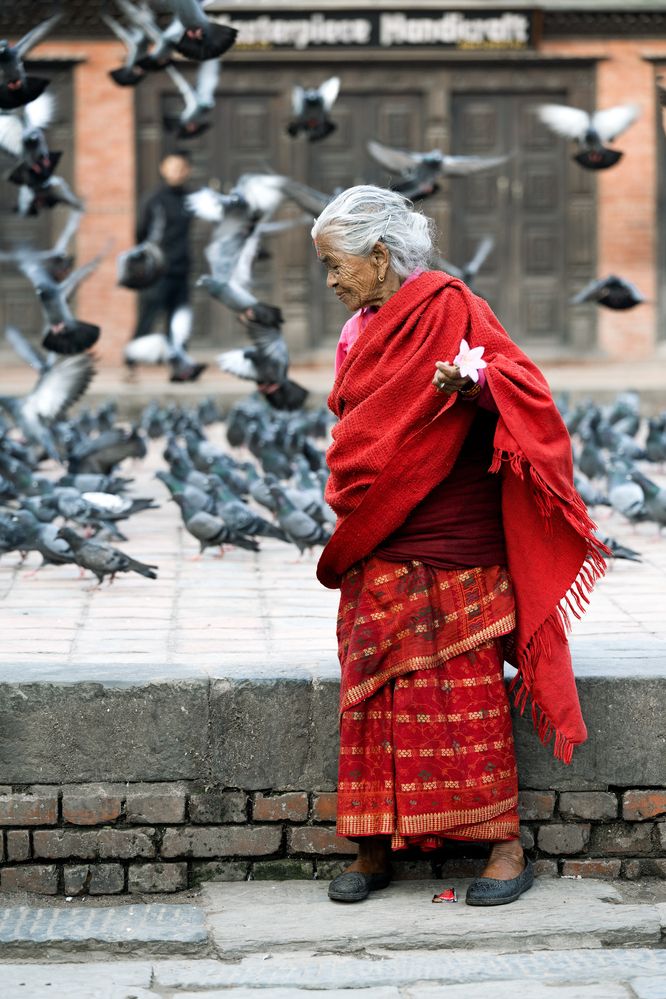 Фотография автора Елена Гридневская