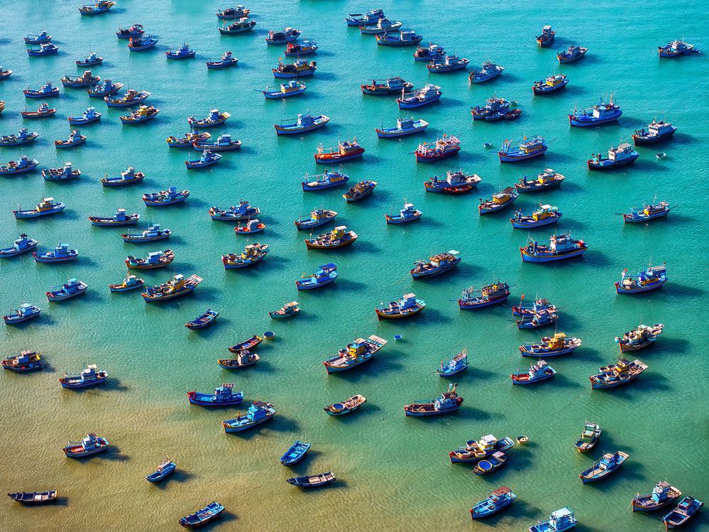 Photograph by Trần Anh