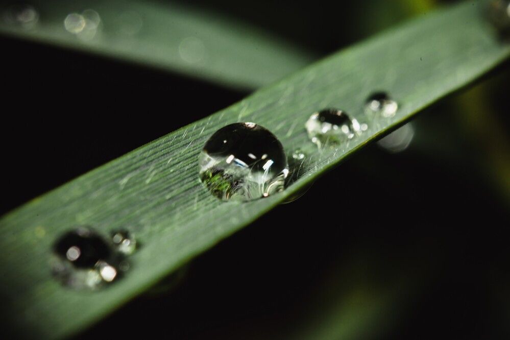 Photograph by SOUFIANE EL KADAOUI