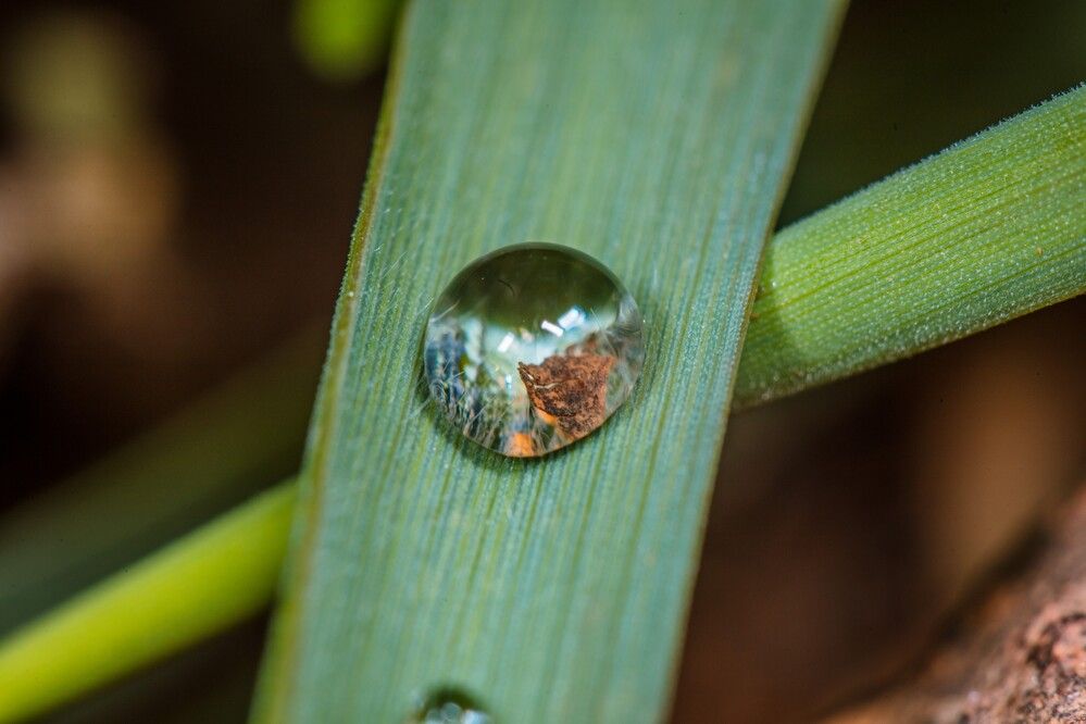 Photograph by SOUFIANE EL KADAOUI