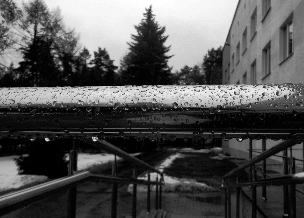 Photograph by Александр Зарх