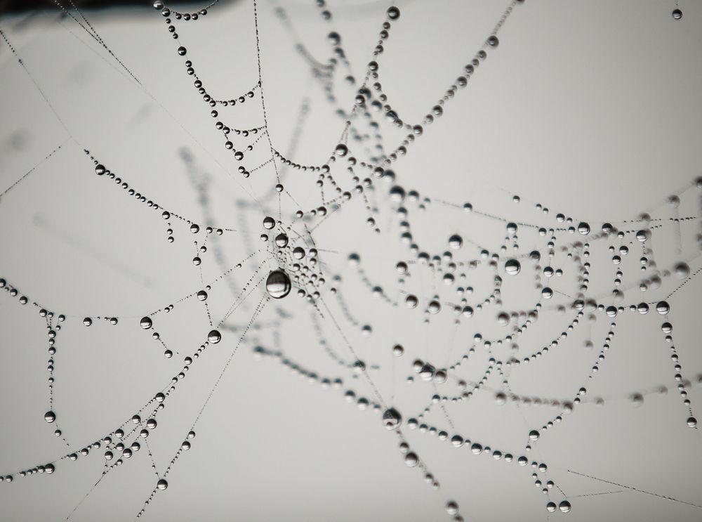 Photograph by Александр