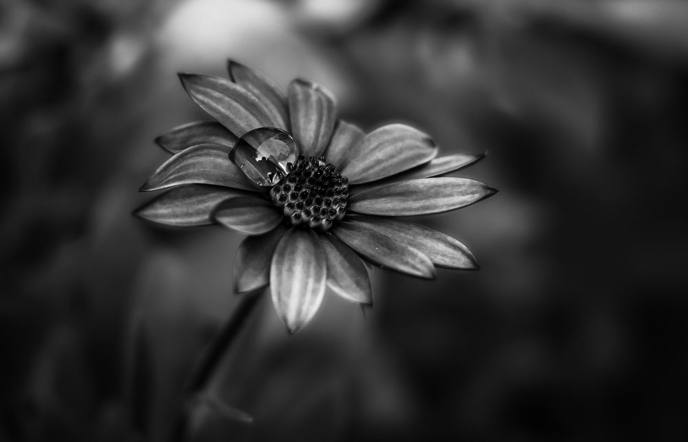 Photograph by Александр