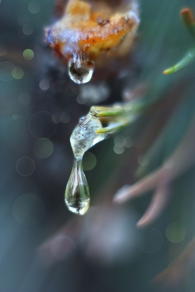 Photograph by виктор ковчин