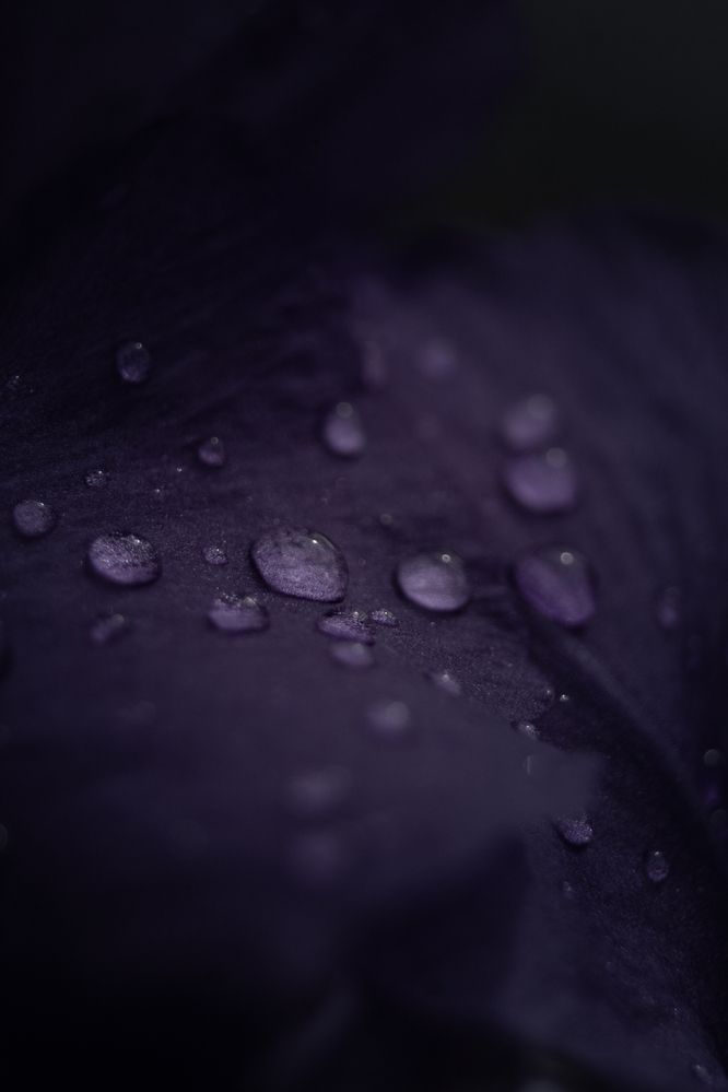 Photograph by Dina Garipova
