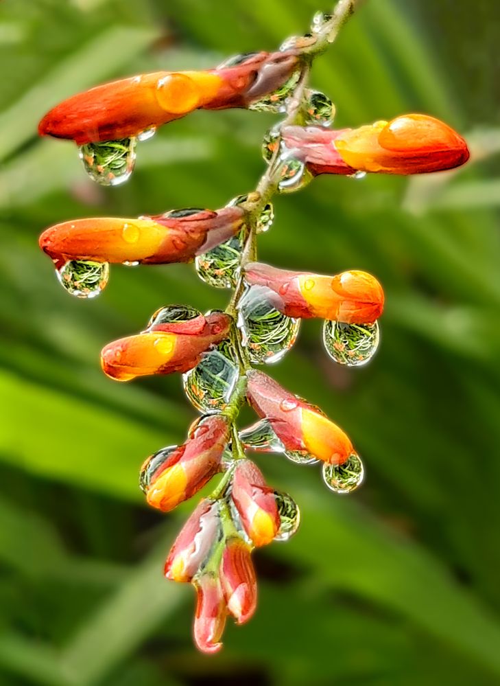 Фотография автора Наталья Решетник