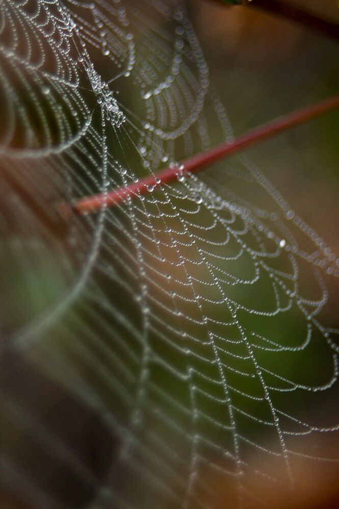 Photograph by Анастасия