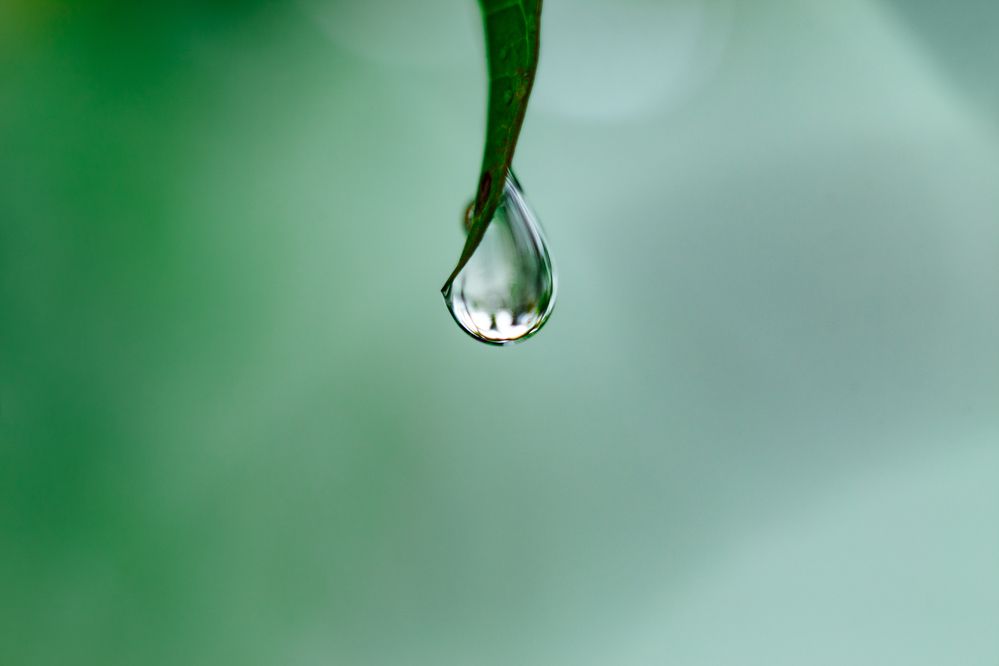 Фотография автора Gabriel de Araujo Almeida