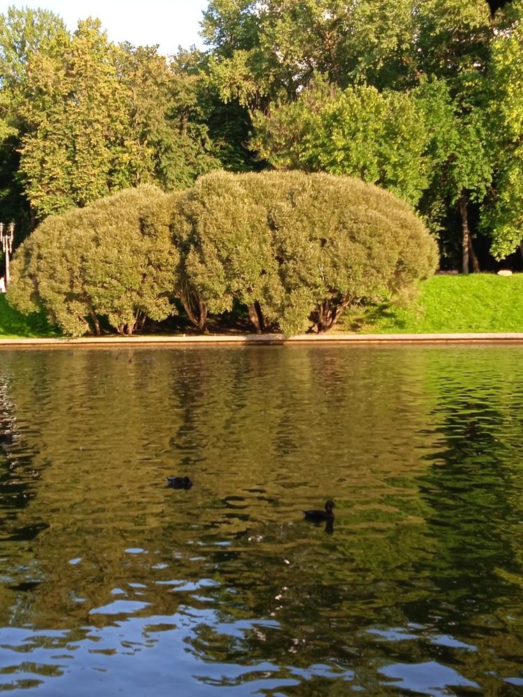 Photograph by Фёдор Викторович