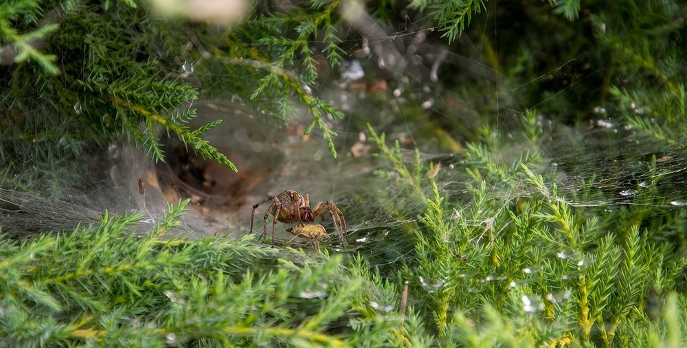 Photograph by Михаил Еремеев