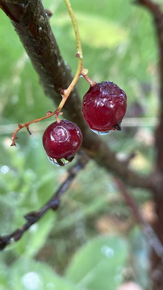 Photograph by Людмила Казак