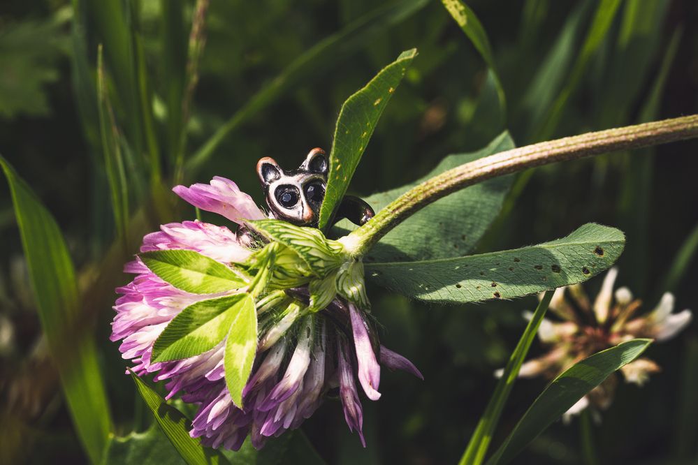 Фотография автора Ирина Гриценко