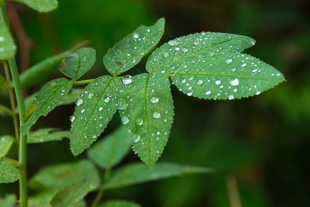 Photograph by Василий Быстрицкий