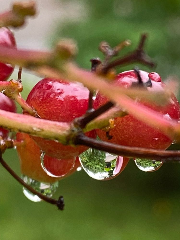 Photograph by Наталия Орехова