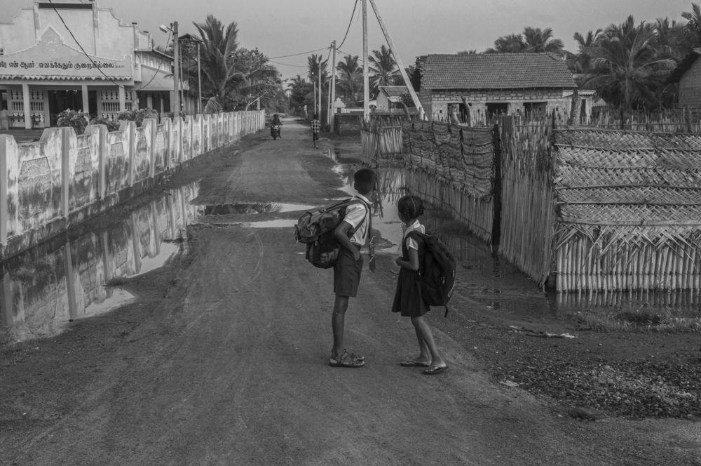 Photograph by Chamara Sulakkhana Polwatta Siriyalage