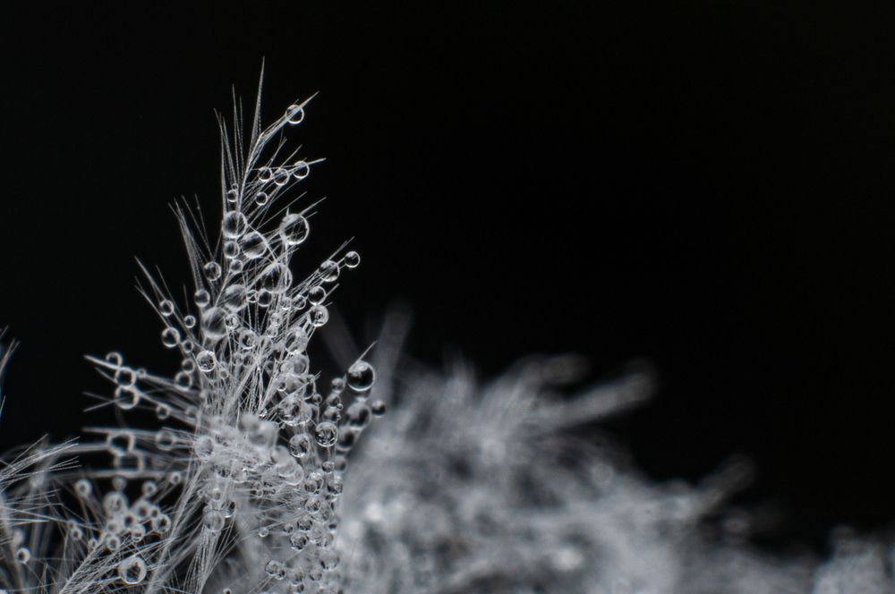 Photograph by Chamara Sulakkhana Polwatta Siriyalage