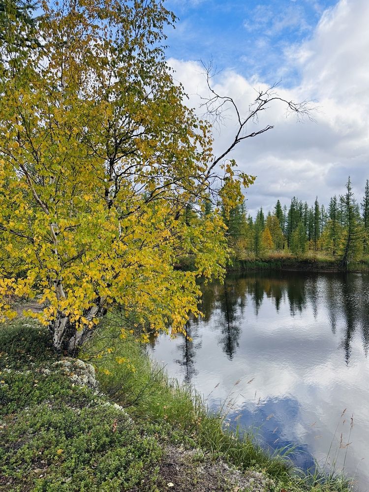 Photograph by Iuliia Govorunenko