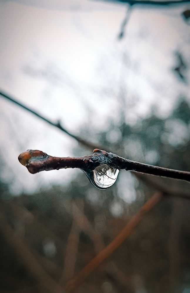 Photograph by Mishel Photographer