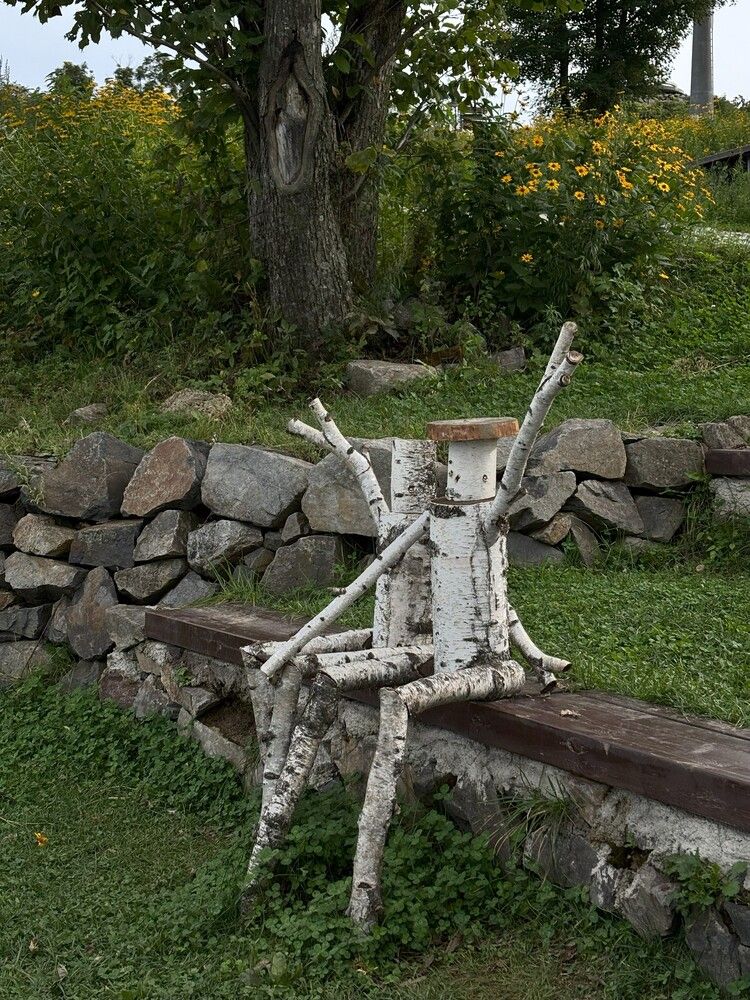 Березовые друзья