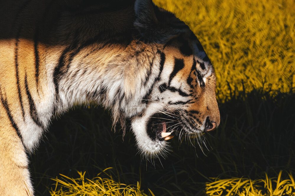 Фотография автора Дмитрий Новиков