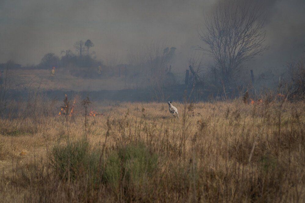 Photograph by Patricio Murphy