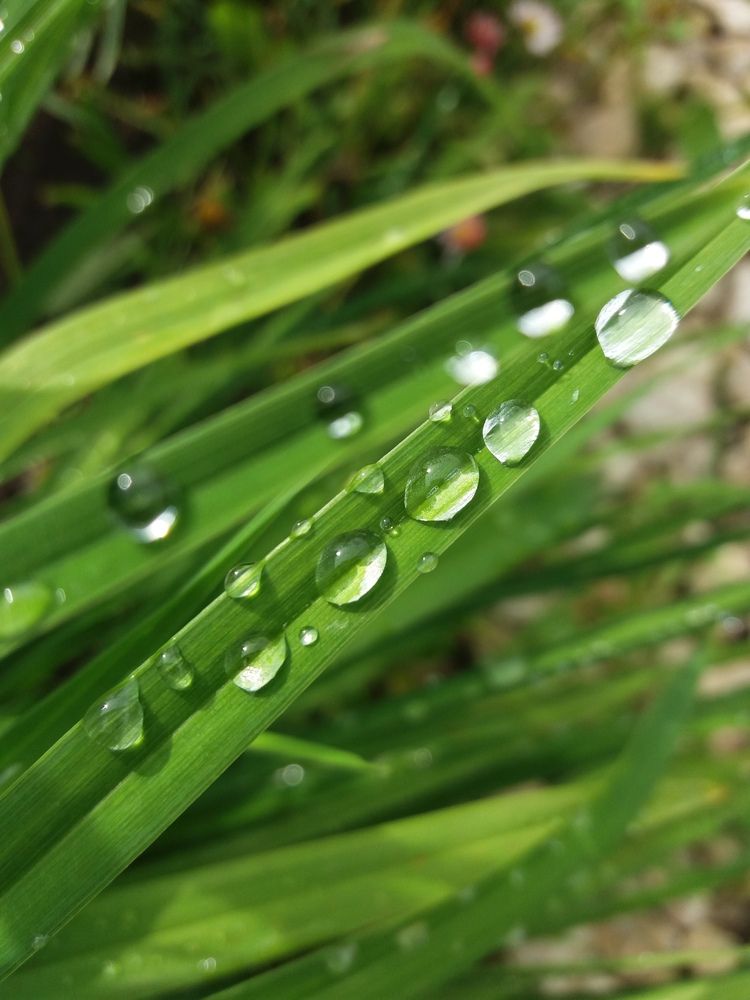 Photograph by Елизавета Большакова