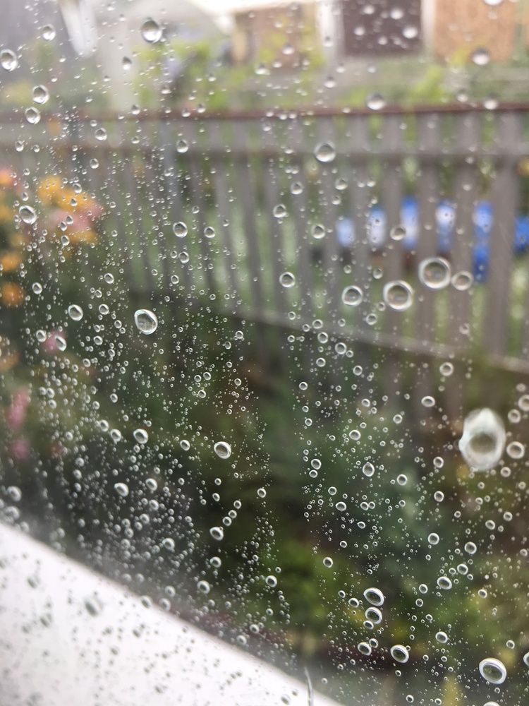 Photograph by Елизавета Большакова