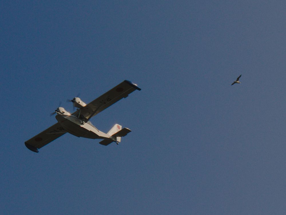 Photograph by Константин Гацко