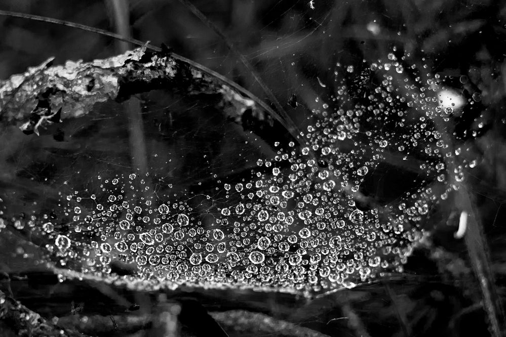 Photograph by Дана Трубиньш