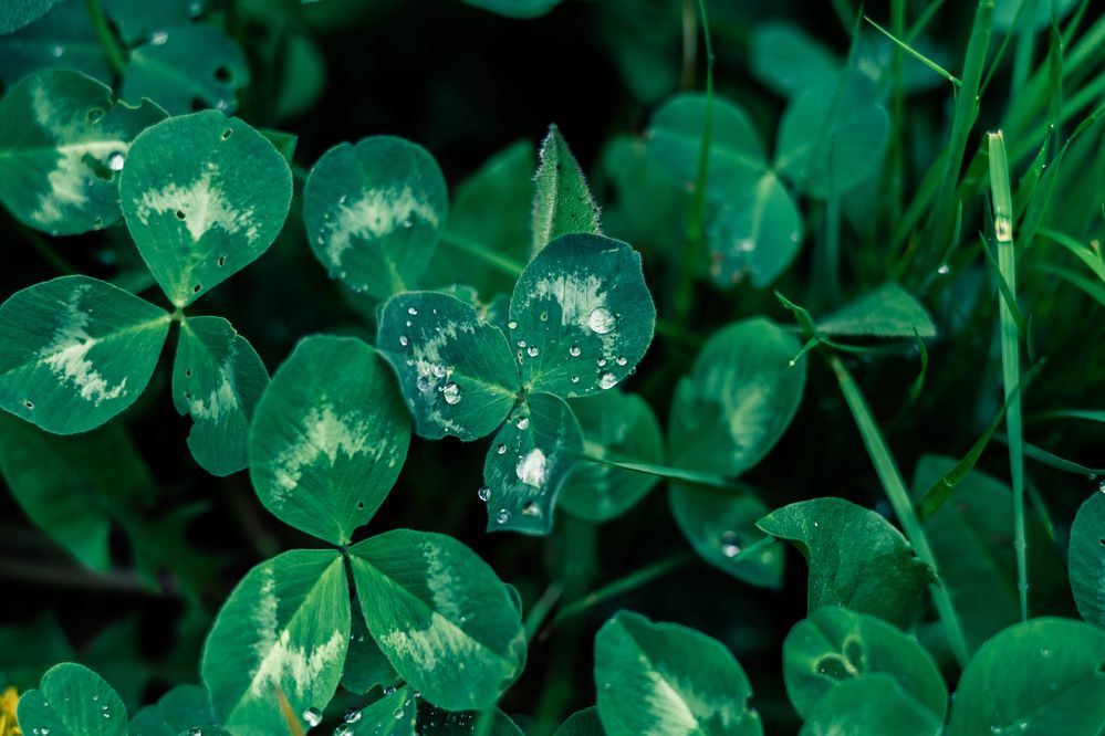 Photograph by Дана Трубиньш