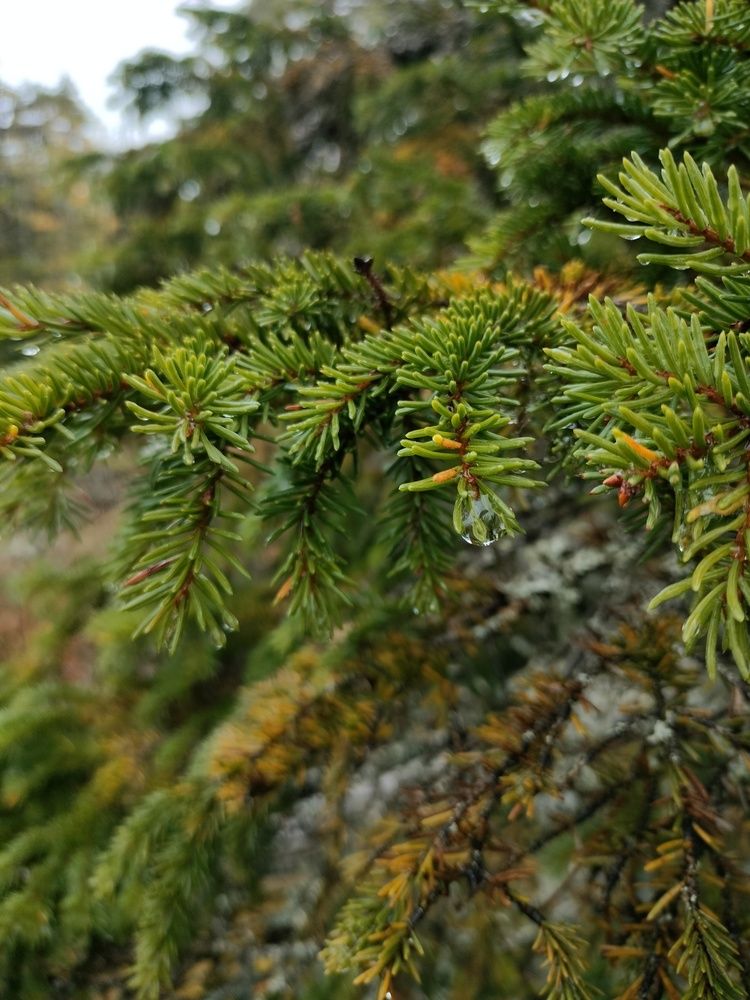 Photograph by Кристина Шацкая