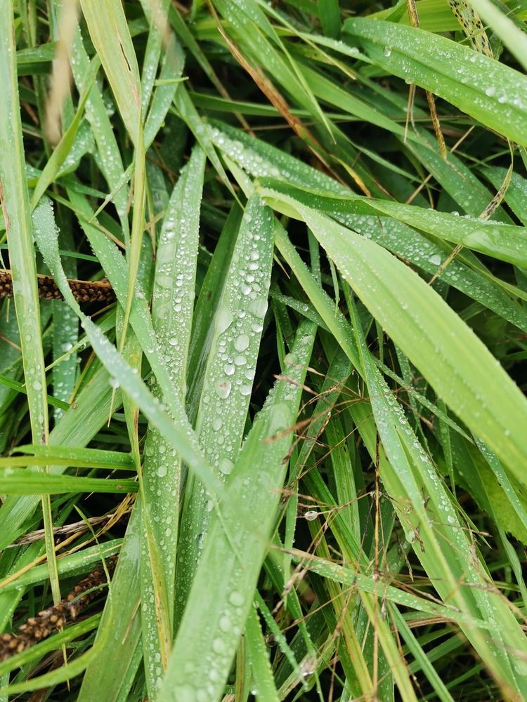 Photograph by Кристина Шацкая