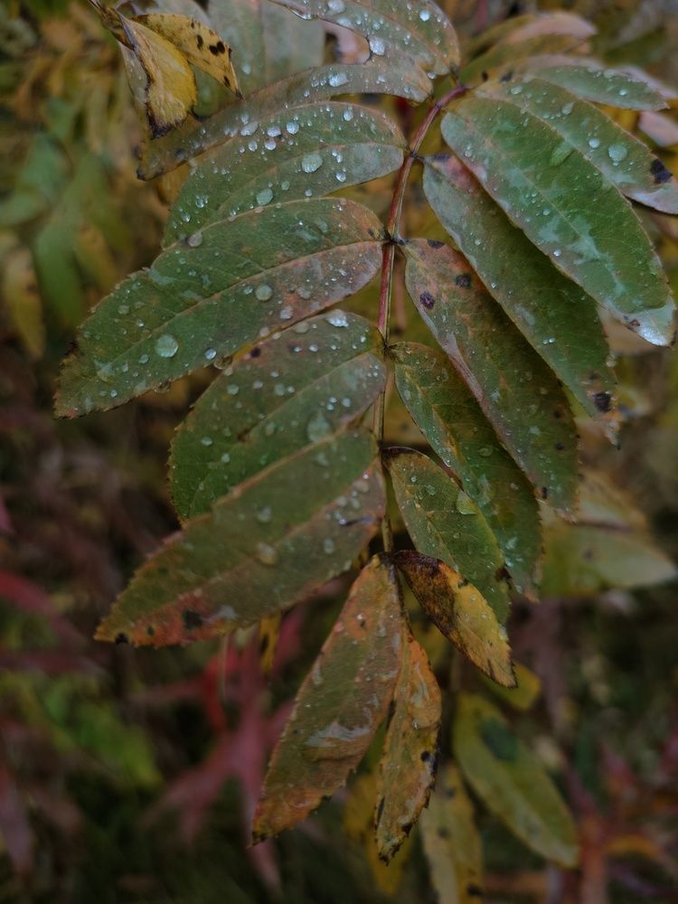 Photograph by Кристина Шацкая