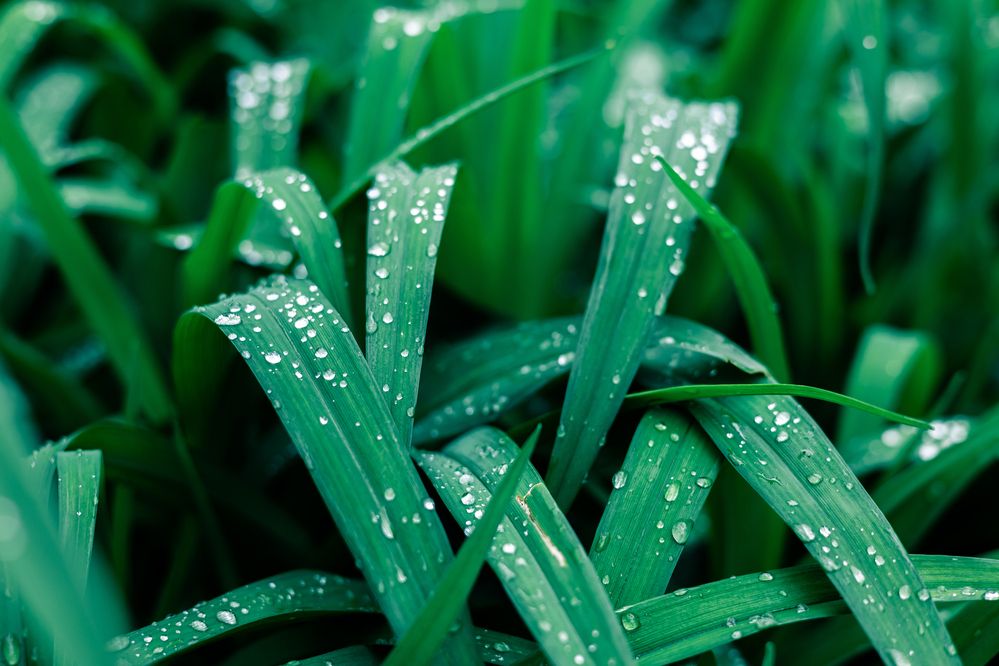 Photograph by Дана Трубиньш