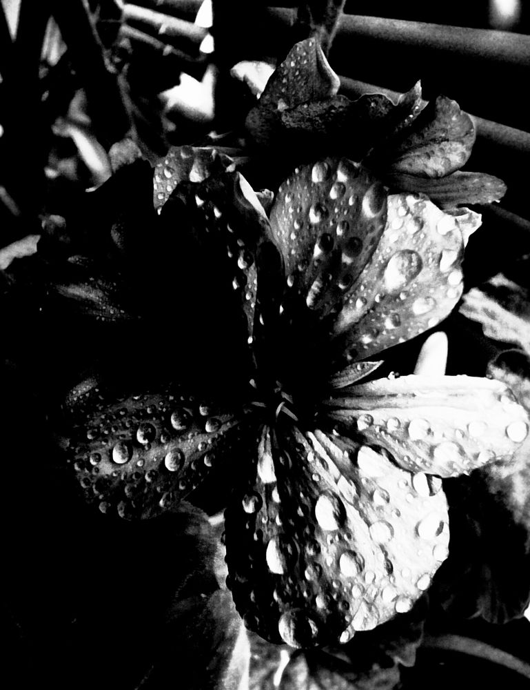 Фотография автора Наталья Драгун