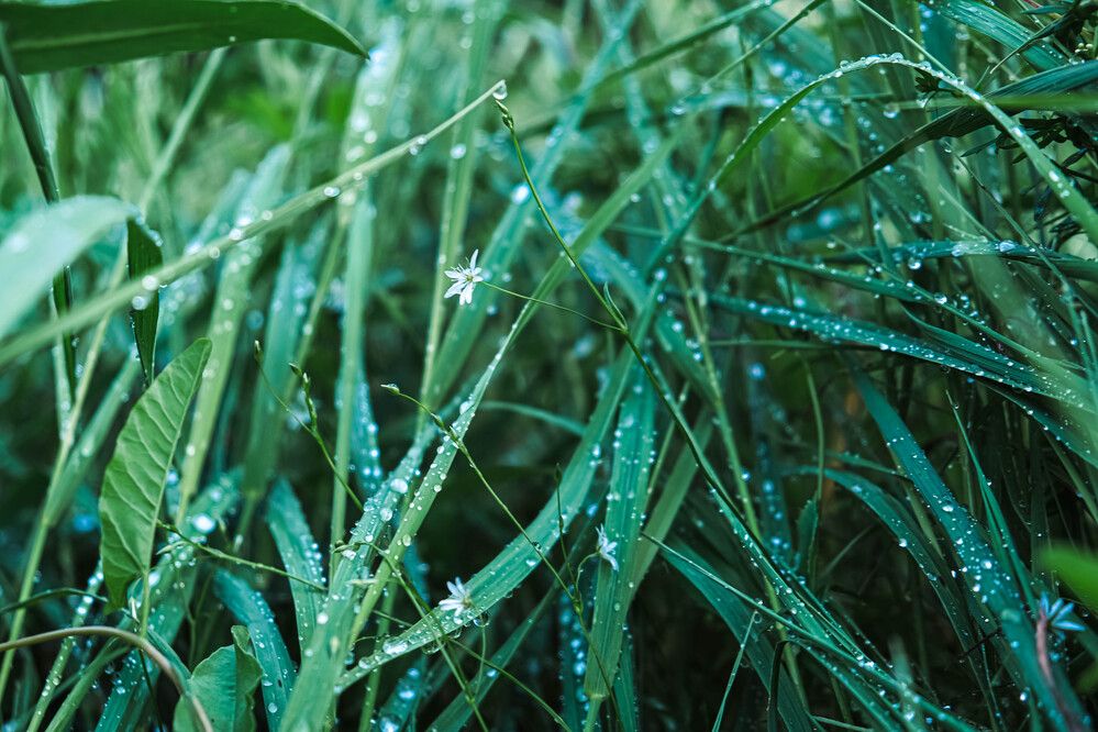 Photograph by Альберт Габбасов